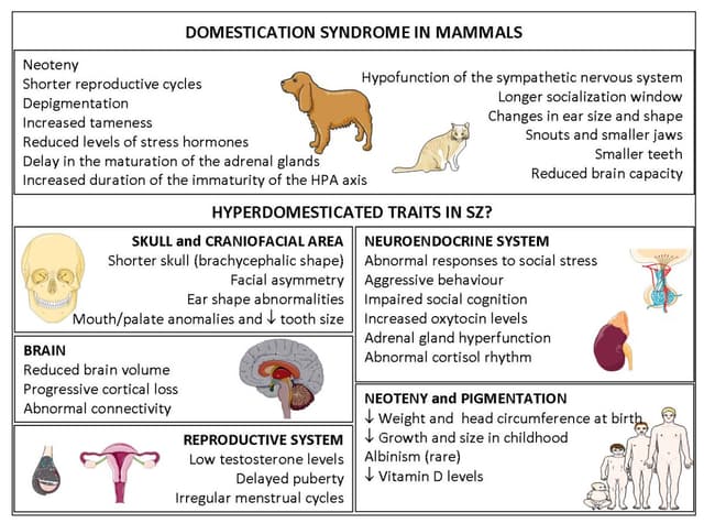 Quoted tweet image 1