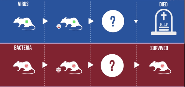 Quoted tweet image 1