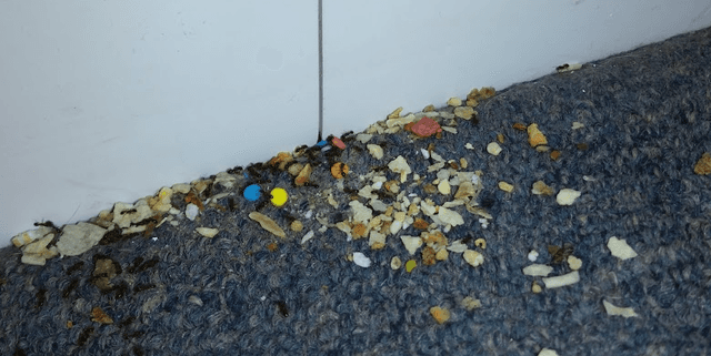 Quoted tweet image 1