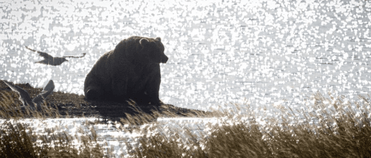 Quoted tweet image 1