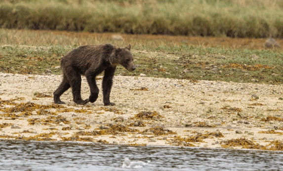 Quoted tweet image 1