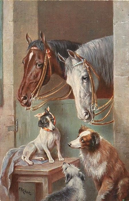 Quoted tweet image 1